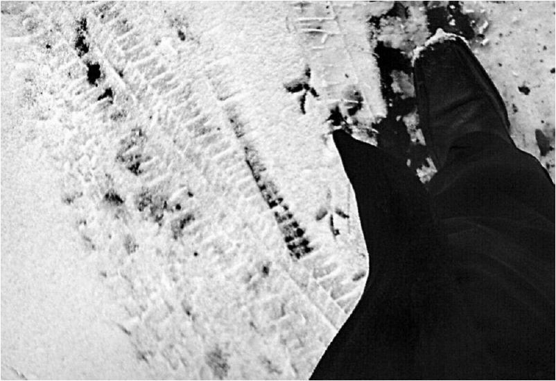 Фото20 Дворницын А.