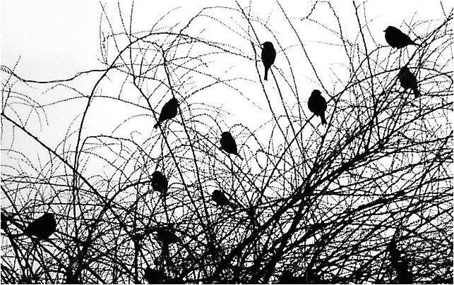 Фото22 Дворницын А.