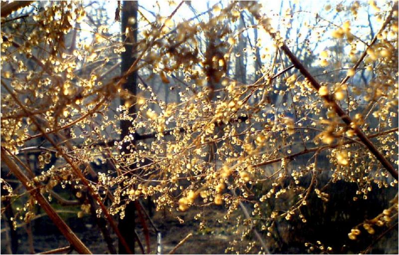 Фото23 Дворницын А.