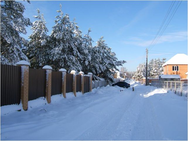 Фото46 Павленко Н.